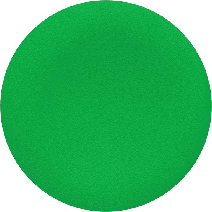 Actual product image Schneider Electric Protective cap green, unlabelled for ZBA73