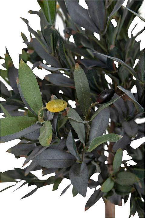 Image du produit House Nordic Olive (126 cm)