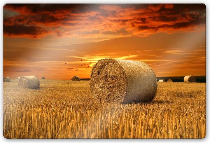 Immagine prodotto Trenddeko balle di paglia (60 x 40 cm)