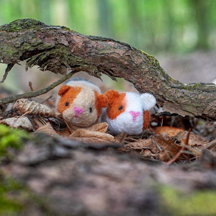 Produktbild Agna Wool Meerschweinchen - Bastelset Filz
