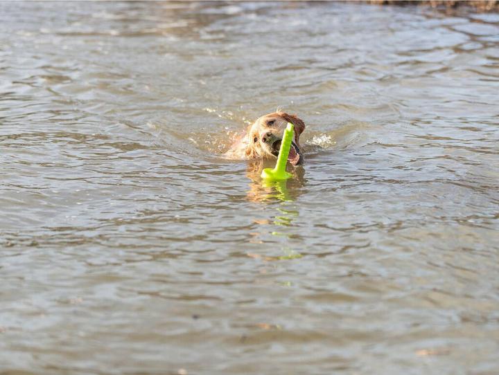 Produktbild Trixie Dog Activity Mot-Aqua 29cm