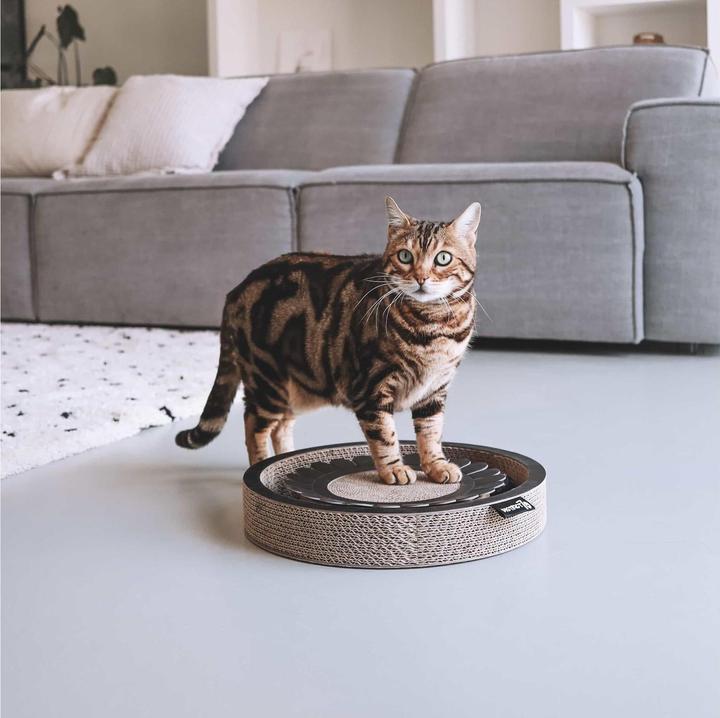 Produktbild District 70 Katzen-Spielzeug Spielboard Bloom Black, 32 x 32 x 6 cm (Kratzspielzeug Katze)