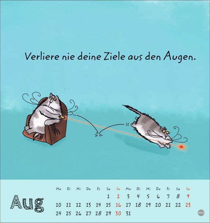 Produktbild Catzz Postkartenkalender 2026 (Postkartenformat)