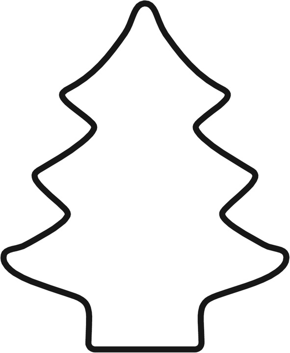 Actual product image Kaiser Fir tree