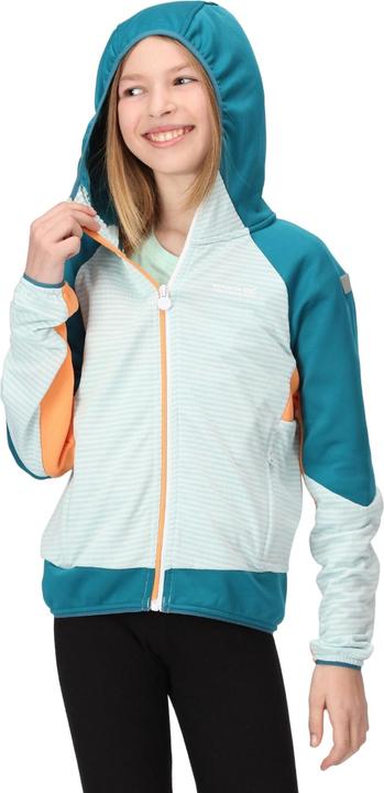 Produktbild Regatta Prenton II Softshelljacke mit Kapuze (116)