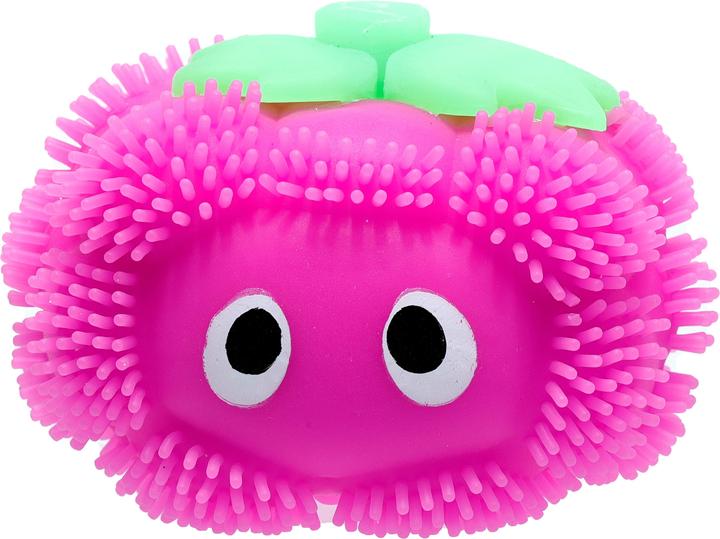 Actual product image Roost Squeeze fruit TY863 6 assorted