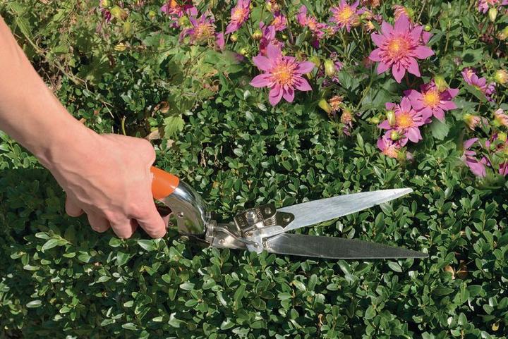 Produktbild Bahco Grasschere mit 3 Positionen und Kunststoff-Griffhülle