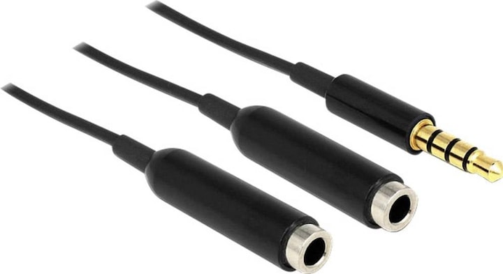 Image du produit Delock Câble répartiteur audio 3.5 mm jack - 2x 3.5mm femelle (0.25 m, 2,5 mm)