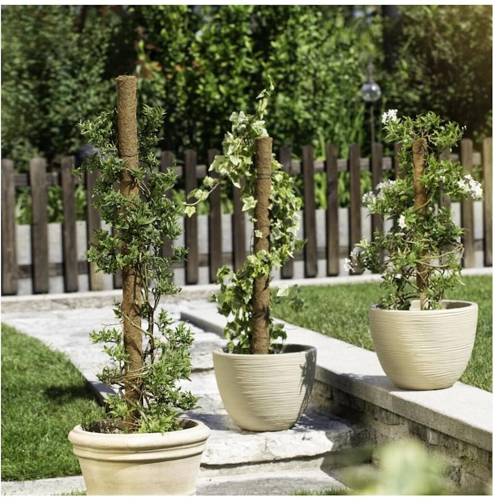 Immagine prodotto Windhager Pianta bastone di cocco (110 cm, 4.50 cm)