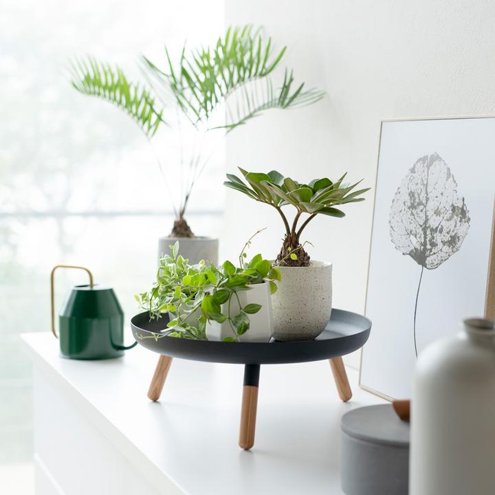 Productafbeelding Yamazaki Kom met houten poten PLAIN (8.49 l)