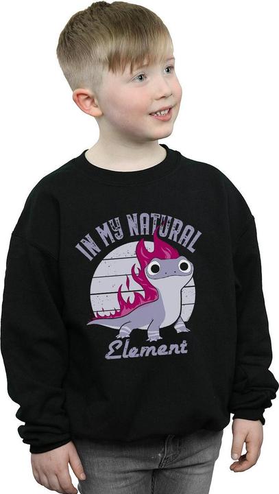 Immagine prodotto Disney Frozen 2 Salamander Bruni Element Felpa Ragazzi (152, 158)