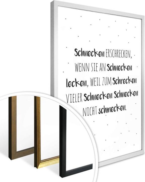 Produktbild Trenddeko Zungenbrecher - Schnecken erschrecken (50 x 60 cm)
