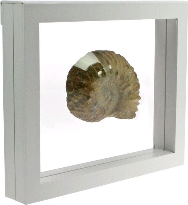 Schwäbische Albumfabrik Floating frame white 27 x 22.5 cm