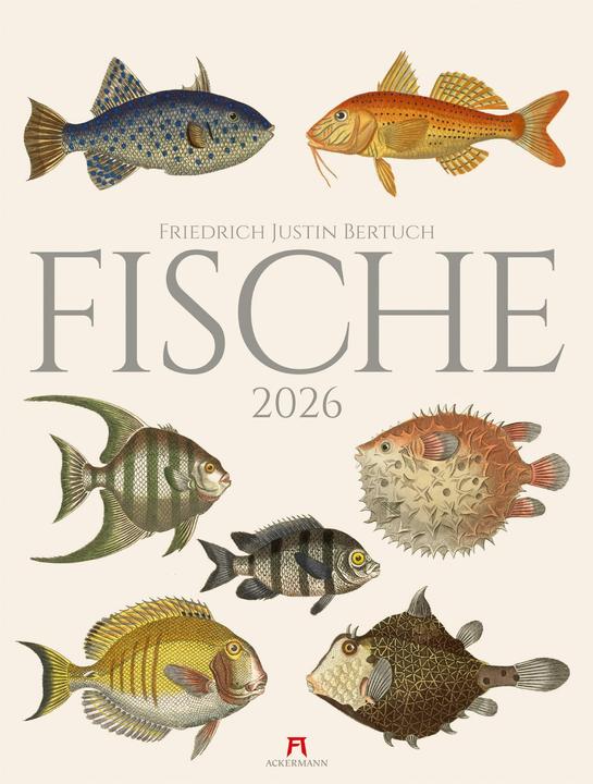 Produktbild Fische Kalender 2026