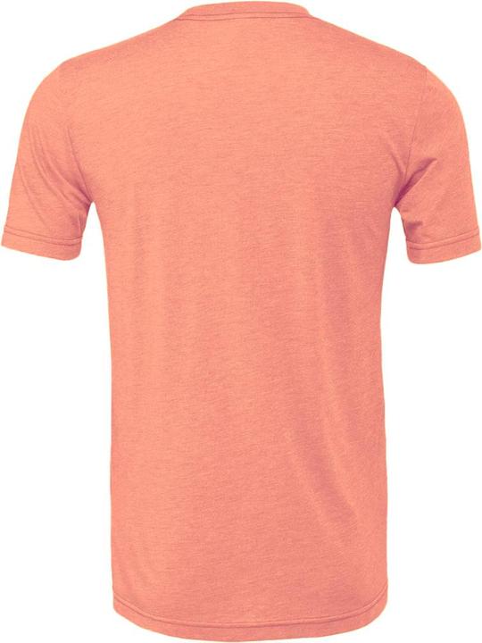 Produktbild Bella Canvas CVC TShirt Erwachsene (L)