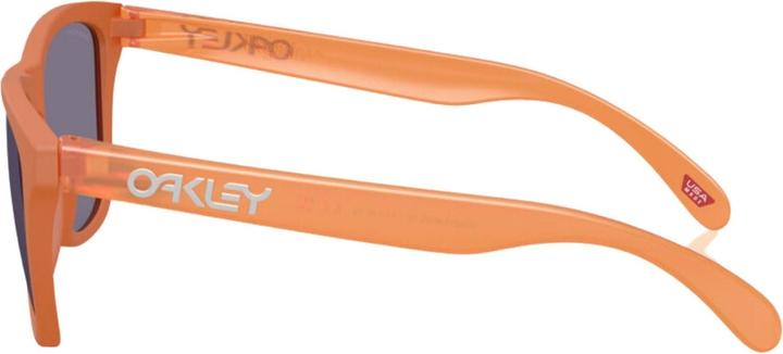Produktbild Oakley Frogskins