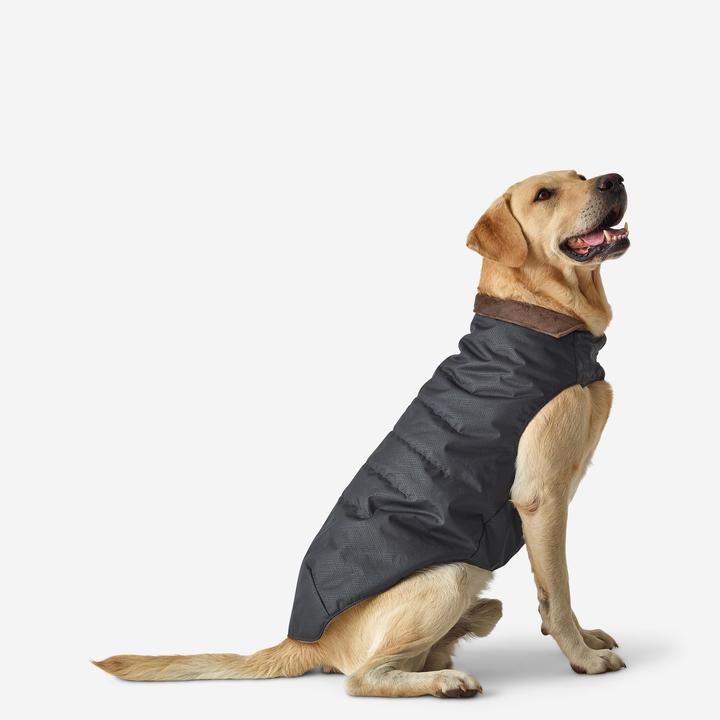Produktbild Solognac Hundeweste warm grau (L, Hundeweste)