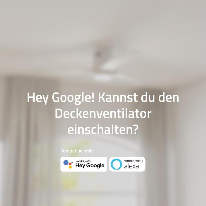 Produktbild Hombli Deckenventilator mit Licht (43 dB)