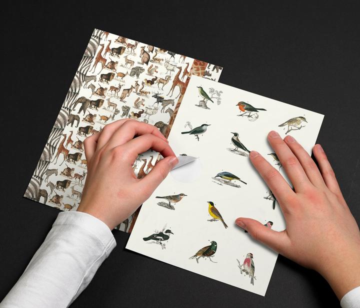 Produktbild Book Fauna