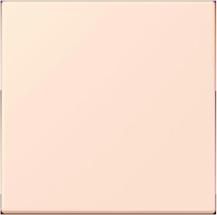 Actual product image JUNG Rocker