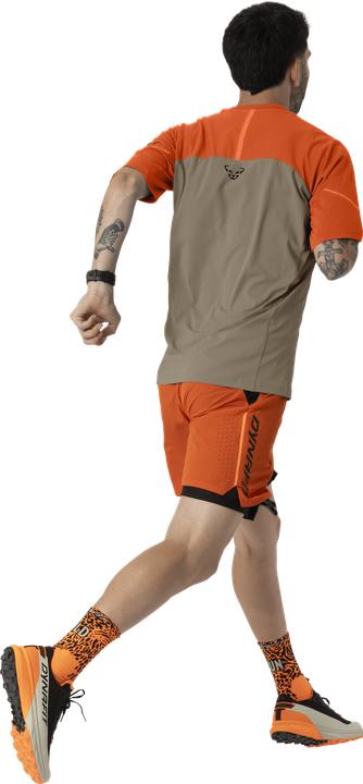 Produktbild Dynafit ALPINE PRO 2/1 SHORTS, Herren (46)