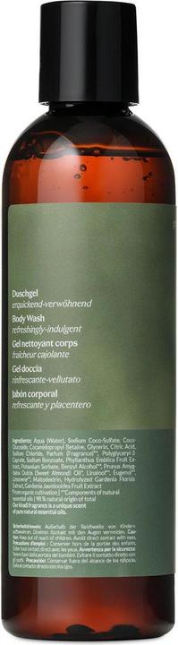 Actual product image Khadi Ayurveda Everyday Indian Amla Bodywash