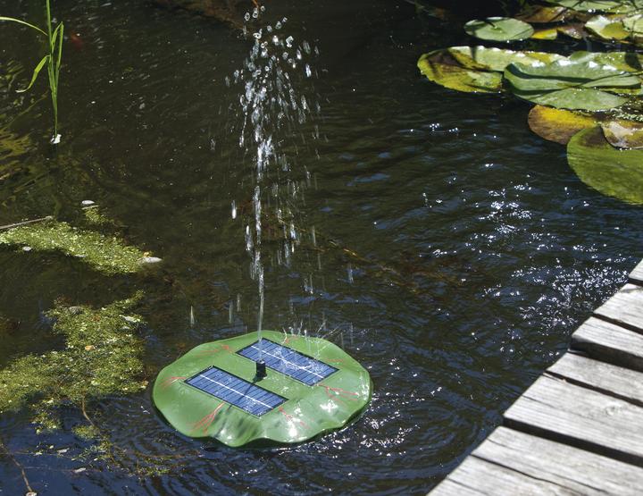 Actual product image Esotec Water Lily