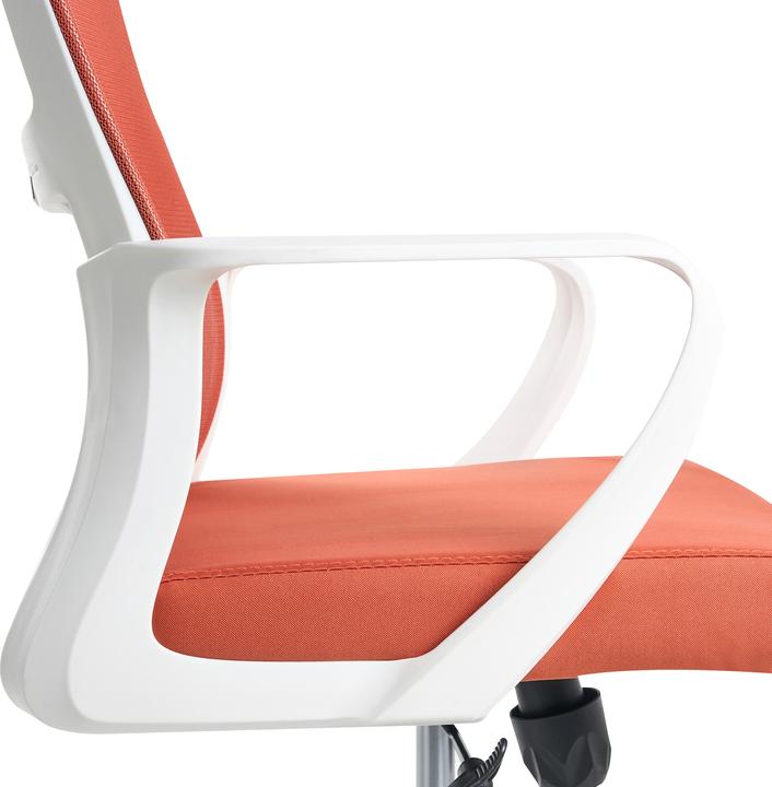 Immagine prodotto Beliani Monarch (35 - 45 cm)