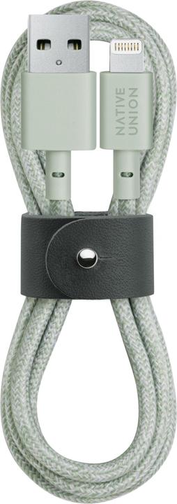 Image du produit Native Union Câble Belt USB-A vers Lightning 1.2m Sage (1.20 m)