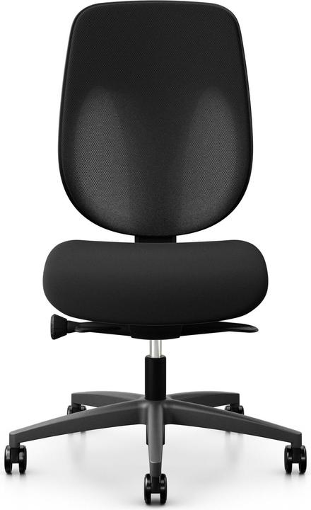 Image du produit Giroflex 353