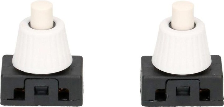 Image du produit Max Hauri Interrupteur M10 1Pôle 2A 2 Pcs.