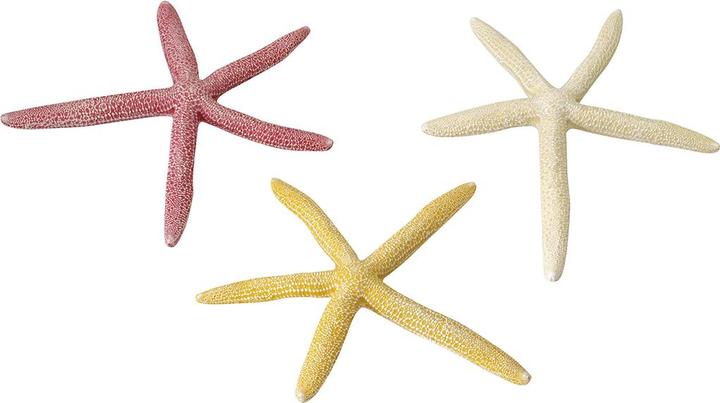 Europet Starfish Mix (Dekoration, sonstige Gegenstände)