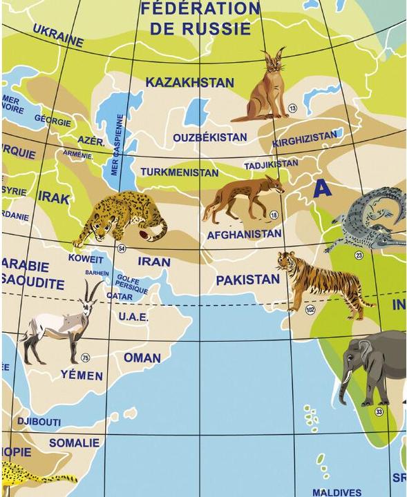 Actual product image Caly Planete Animaux (x2) (42 cm)