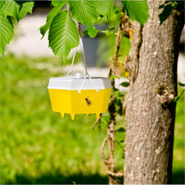 Actual product image Windhager Wasps and flytrap