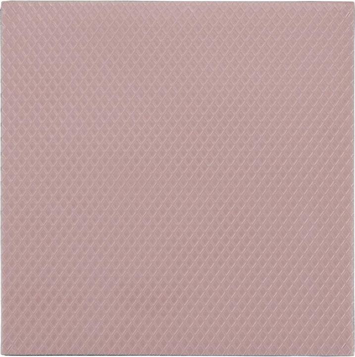 Produktbild Thermal Grizzly Minus Pad 8 - 100 x 100 x 1,0 mm, 2 Stück (1 mm)