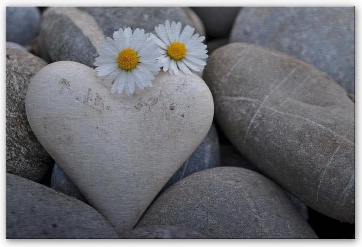 Image du produit Trenddeko Fleurs d'amour (60 x 40 cm)