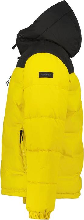 Image du produit Icepeak Ameri (52)