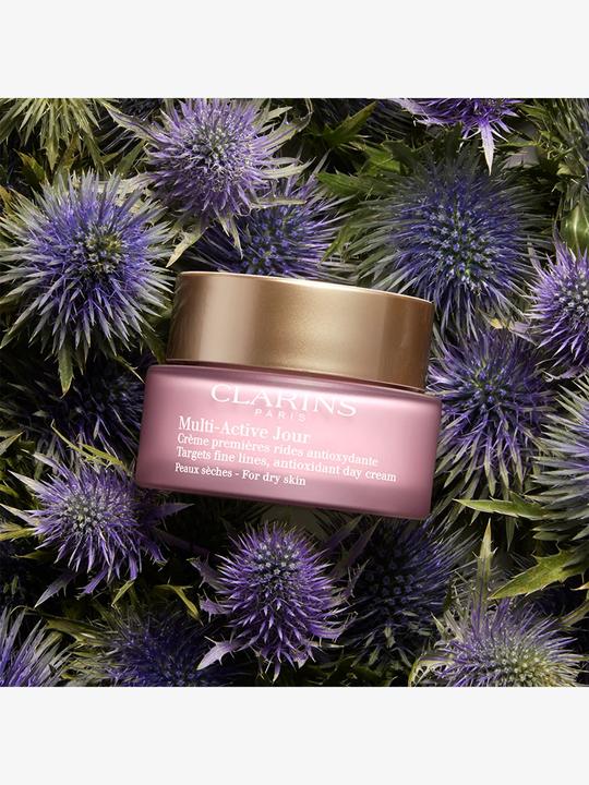 Actual product image Clarins Jour Peau Seche (50 ml, Day cream)