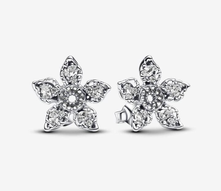 Image du produit Pandora Boucles D'Oreilles (Argent massif)