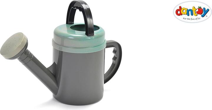 Actual product image dantoy green bean