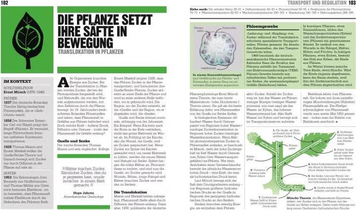 Actual product image Big Ideas. Das Biologie-Buch (German, Derek Harvey., John Farndon, Michael Bright, Robert Dinwiddie, Robert Snedden, Steve Parker., Tim Harris, Tom Jackson, 2022)