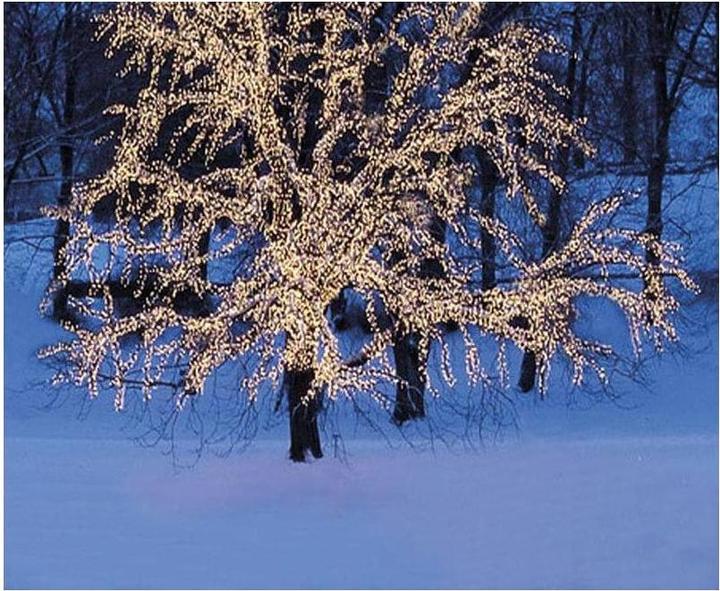 Produktbild Star Trading Lichterkette (3 m)