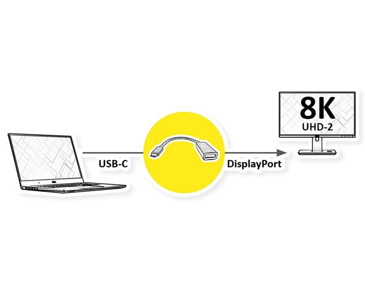 Immagine prodotto Roline Converter USB - > Video (23 cm)