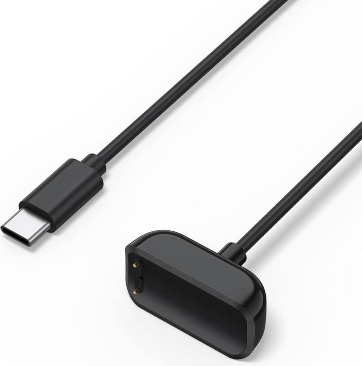 Image du produit PowerGuard Fitbit USB-C Ladekabel Charge Cable