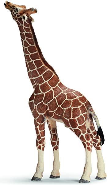 Image du produit Schleich Alligator