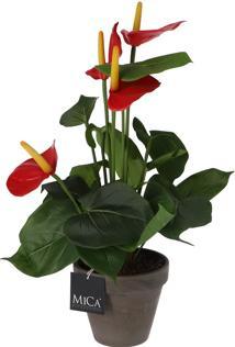 Immagine prodotto edelman Anthurium artificiale rosso in vaso (40 cm)