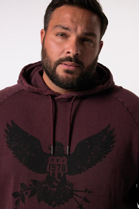 Image du produit John F. Gee Hoodie, Vintage Look, Print (XXL)
