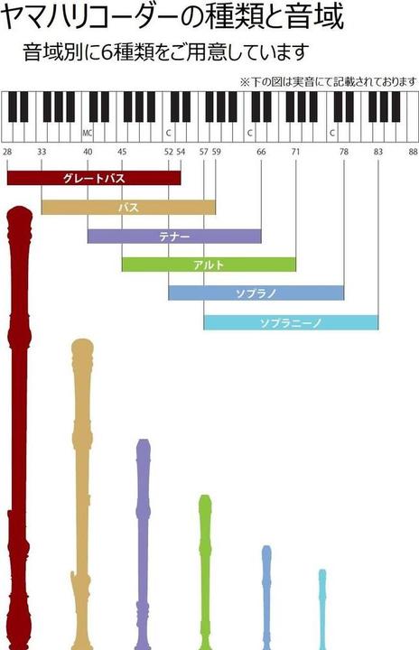 Image du produit Yamaha Flûte à bec YRS-301III Soprano, plastique (Tuyau de raccordement, Courbe)