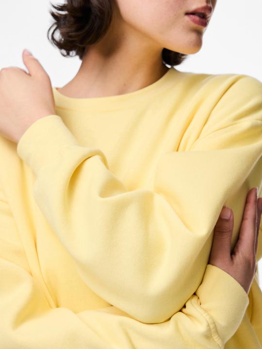 Produktbild Pieces PCCHILLI LOOSE FIT Sweatshirt (M)