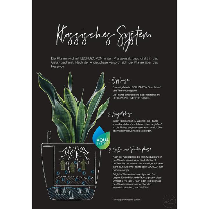Actual product image Lechuza Classico (28.50 cm)